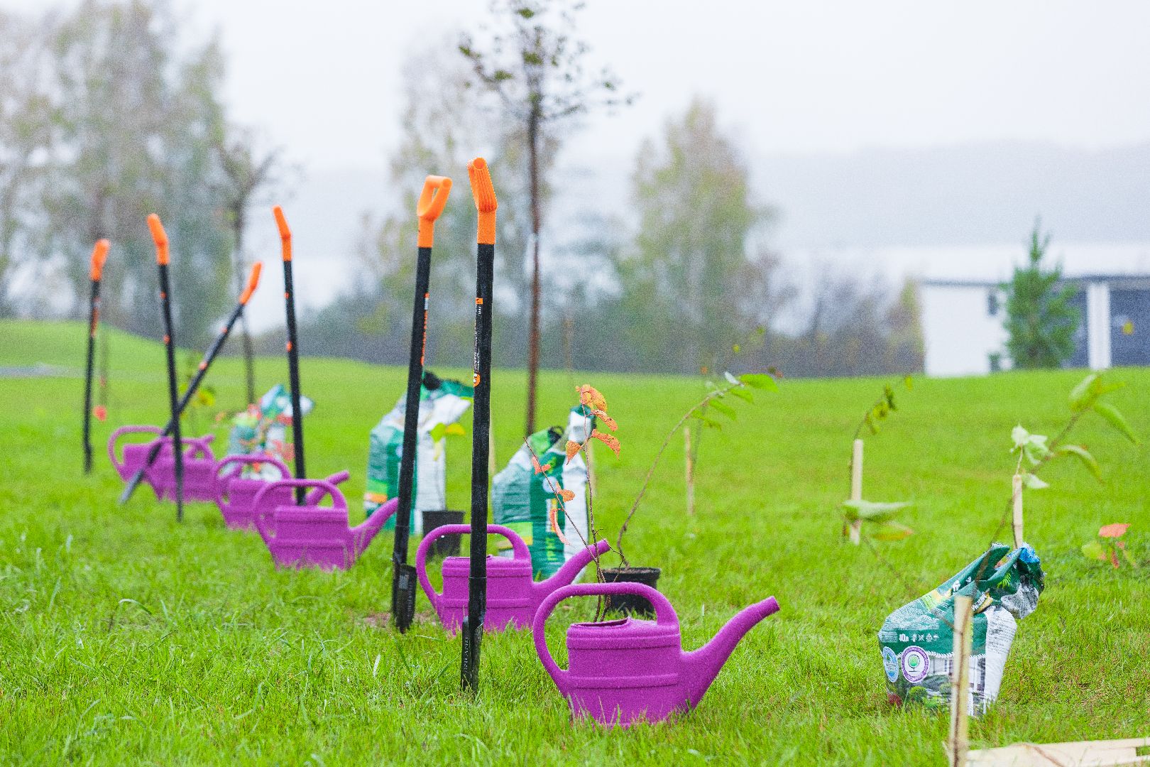 Солнечногорск, Сахалин, Мастерская управления, Сенеж, президент,