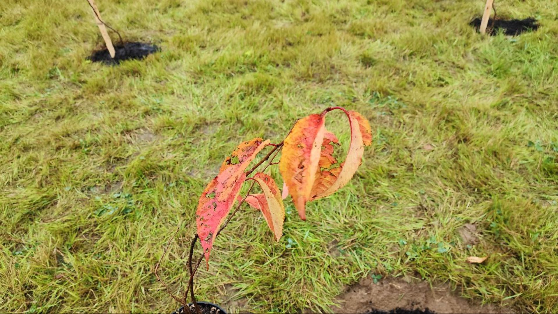 Солнечногорск, Сахалин, Мастерская управления, Сенеж, президент,