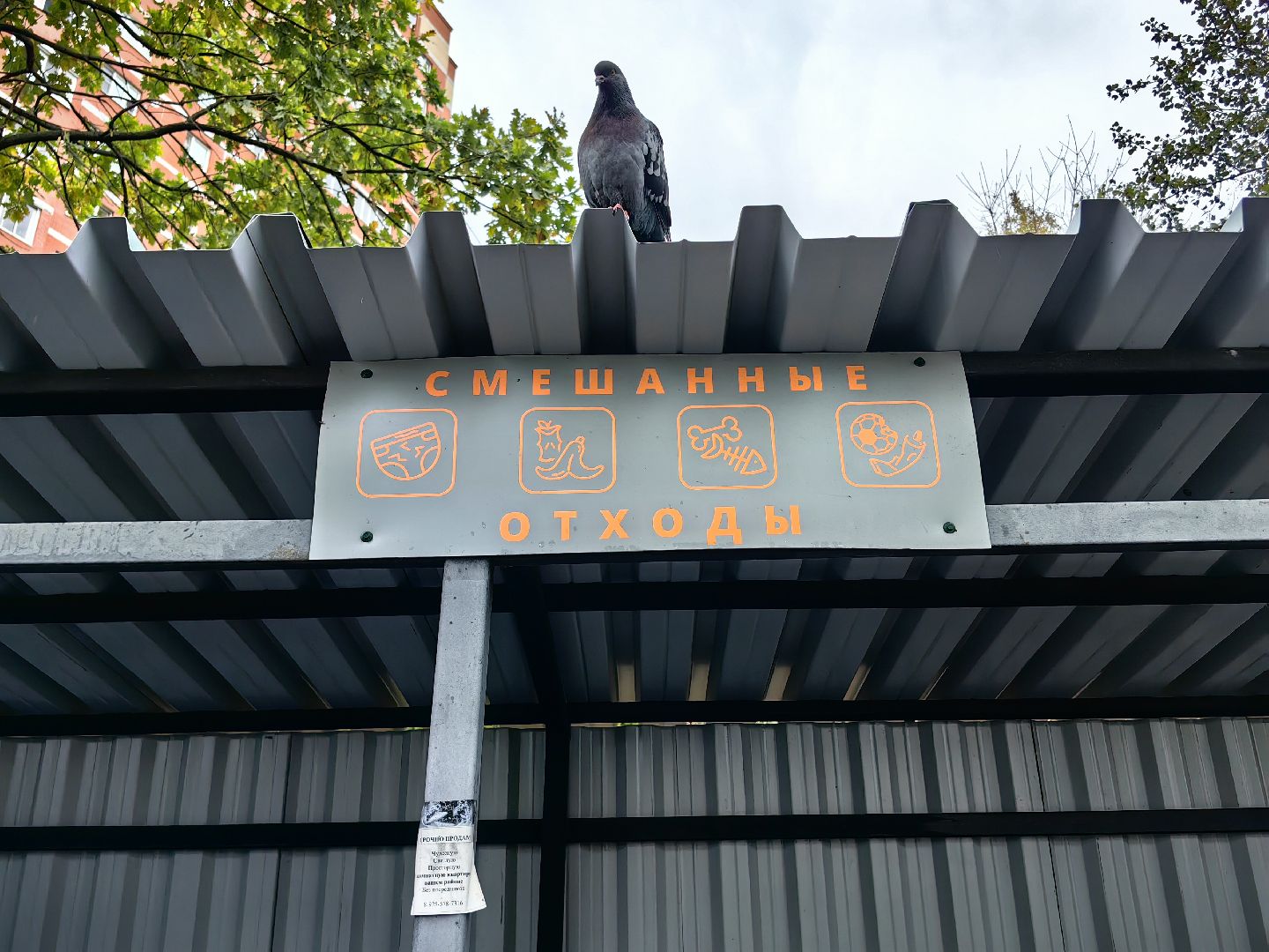 мусор, мусорные площадки, жители, контейнер,