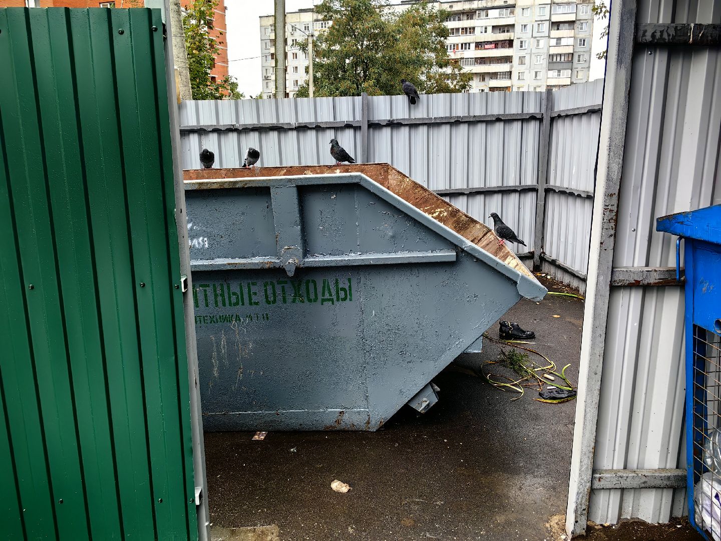 мусор, мусорные площадки, жители, контейнер,