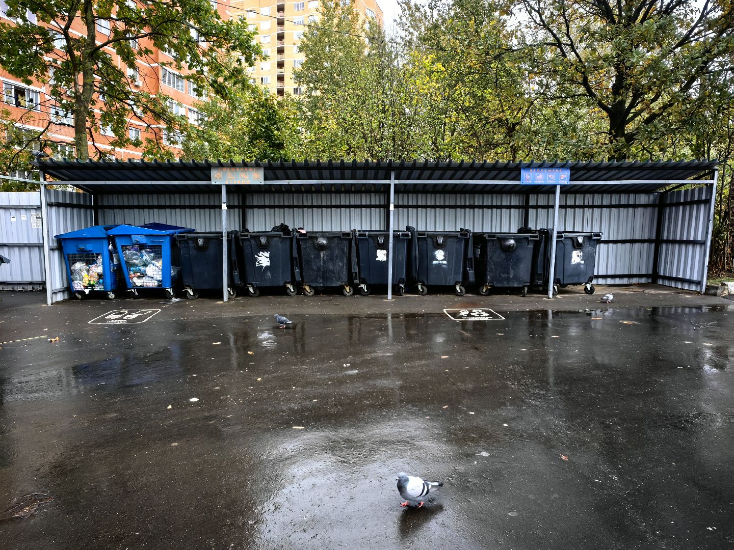 мусор, мусорные площадки, жители, контейнер,