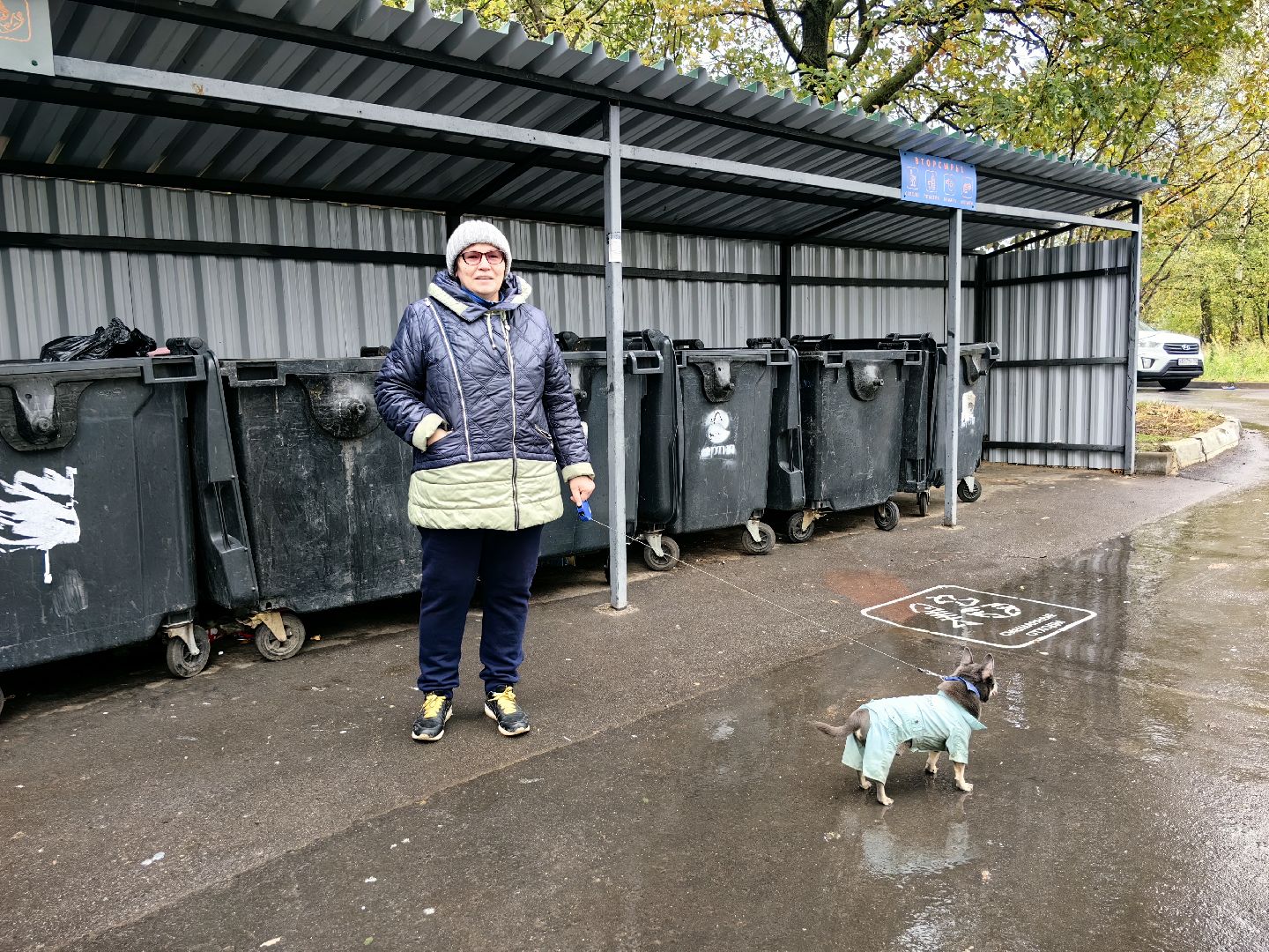 мусор, мусорные площадки, жители, контейнер,