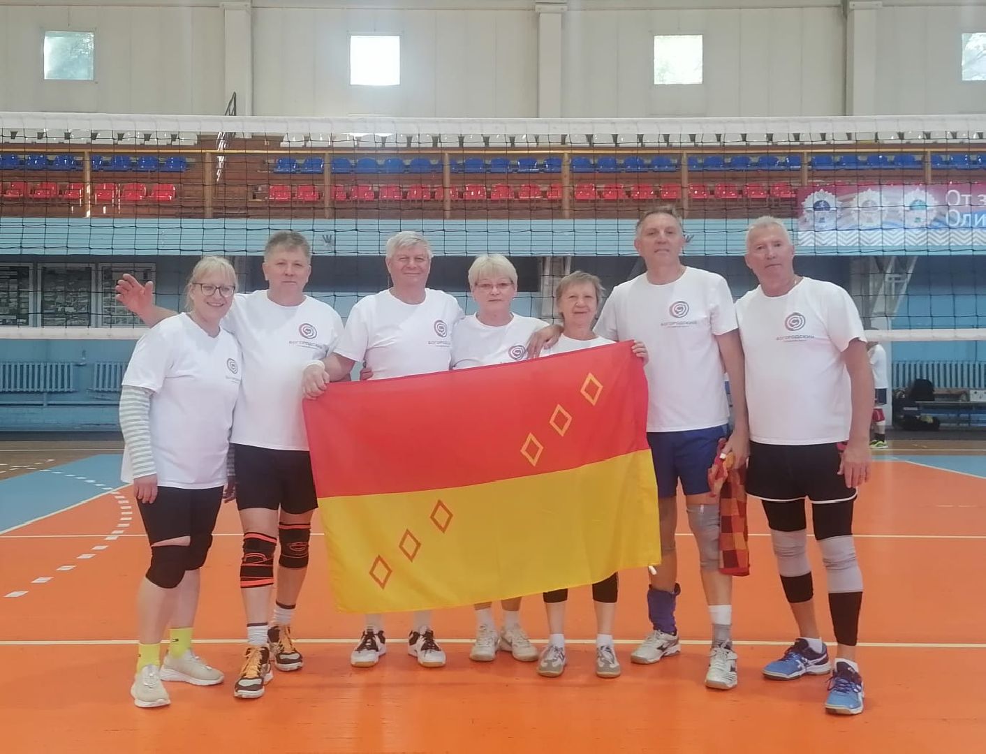 Турнир, волейбол, Активное долголетие,Ногинск, Богородский городской округ,