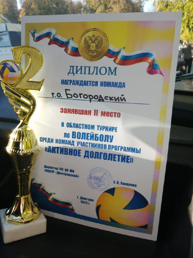 Турнир, волейбол, Активное долголетие,Ногинск, Богородский городской округ,