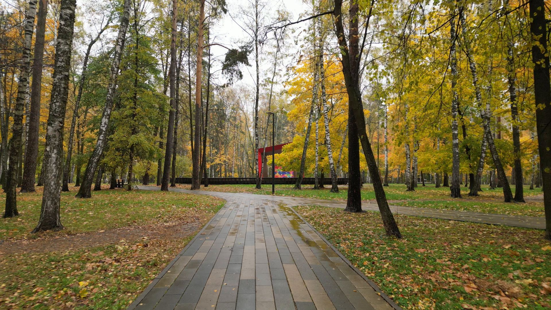 видео с коптера,