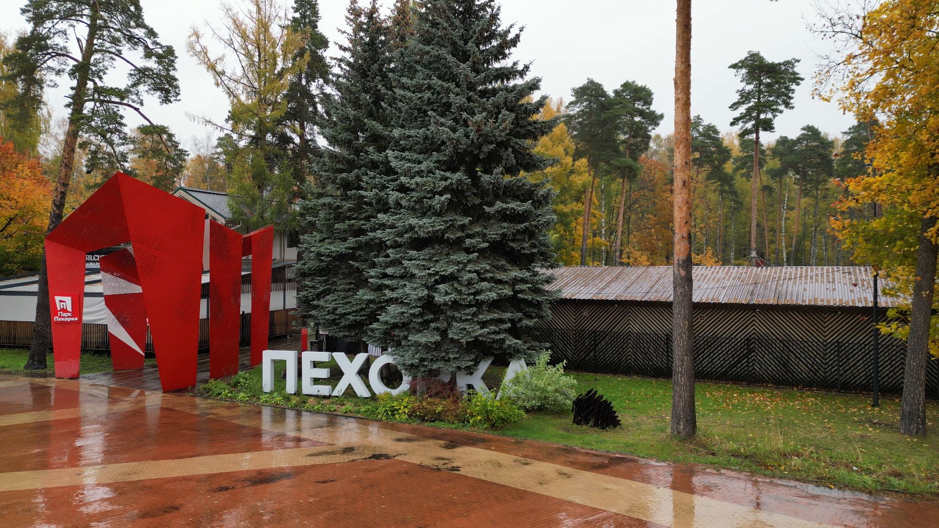 видео с коптера,