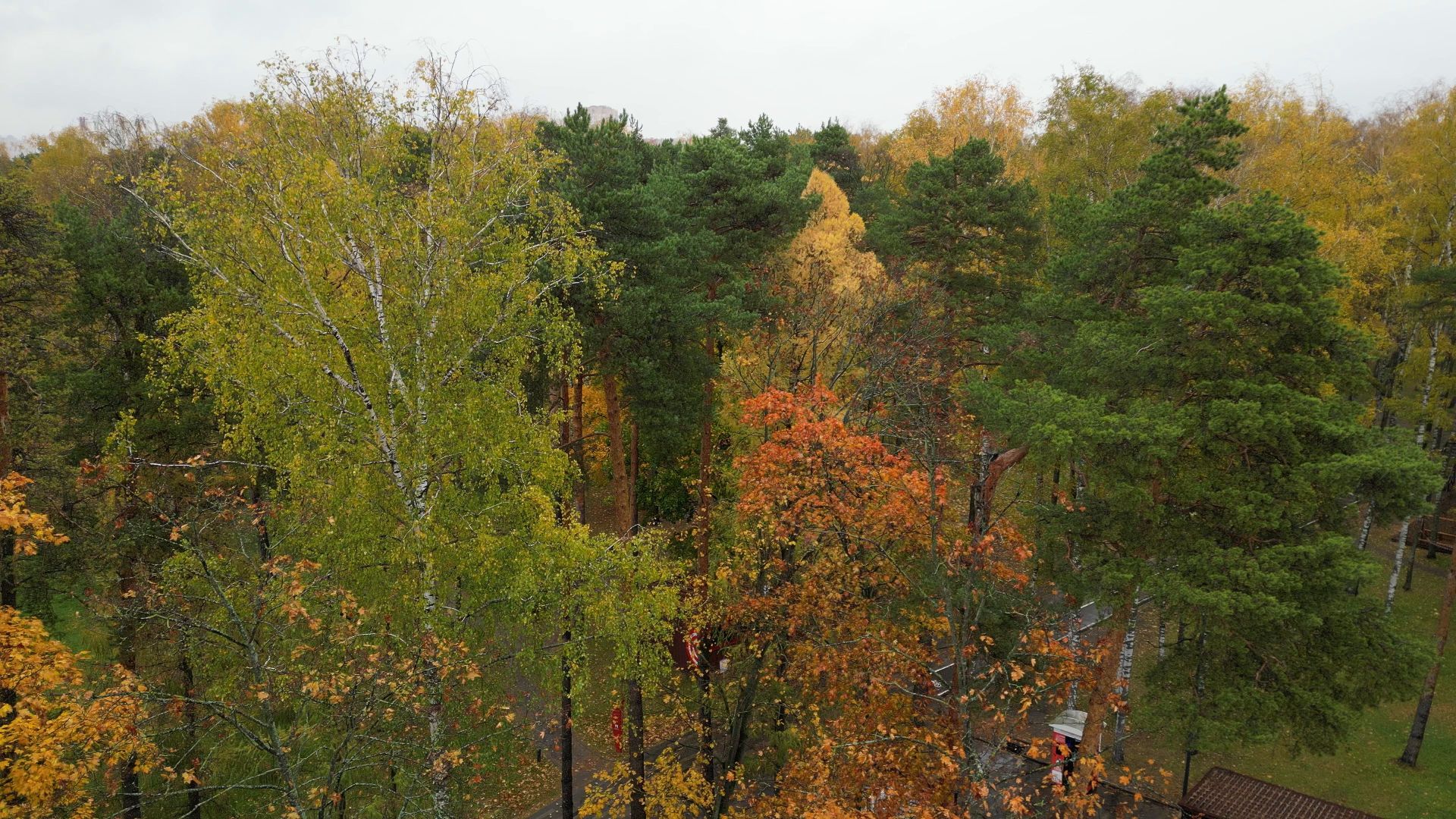 видео с коптера,