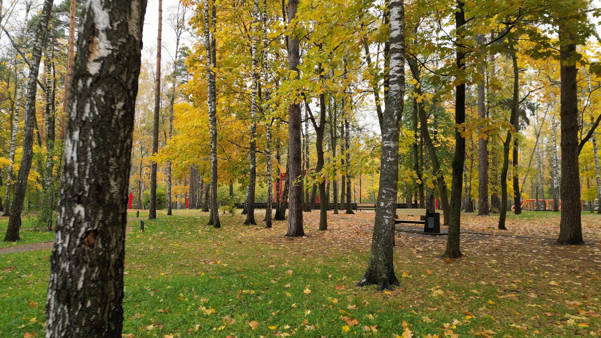 видео с коптера,