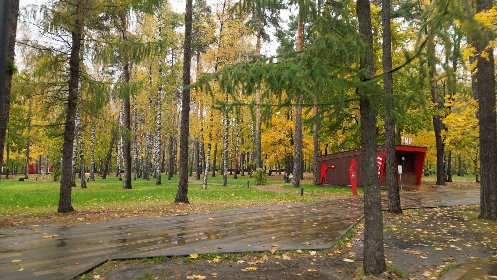 видео с коптера,