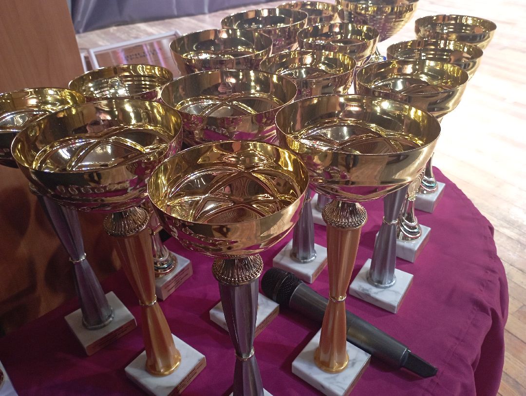 бодибилдин бодифитнес бикини открытыйкубок Дубна ДКОктябрь ФедерацияБодибилдингаРоссии ФедерацияБодибилдингаМосковскойОбласти Дубна Подмосковье