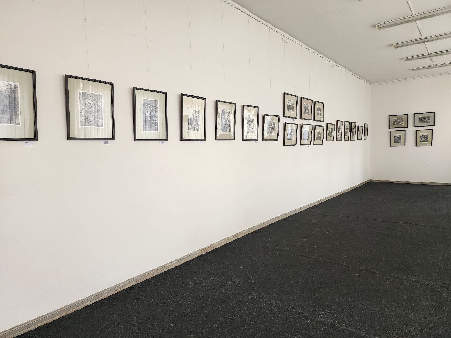 Выставка, художник, дом художника, Ногинск, Богородский городской округ,