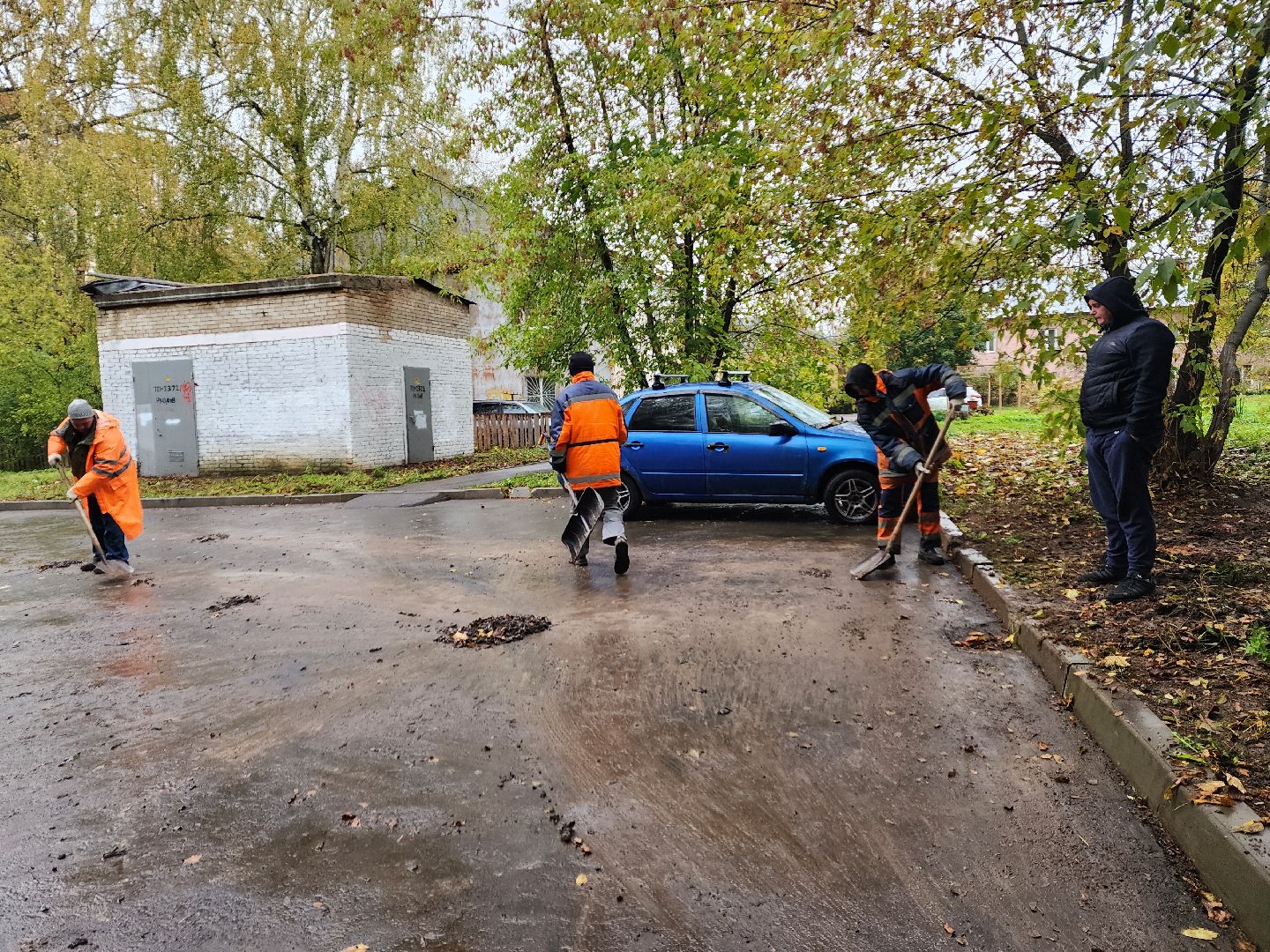 пушкино, благоустройство, листья, коммунальное хозяйство,