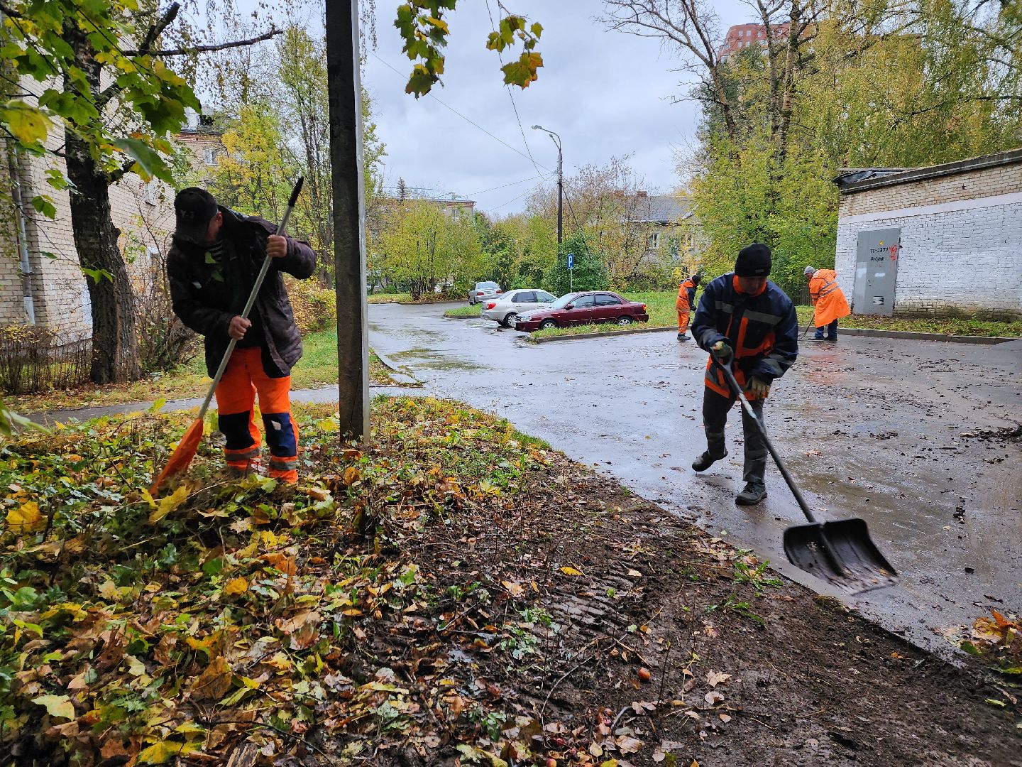 пушкино, благоустройство, листья, коммунальное хозяйство,