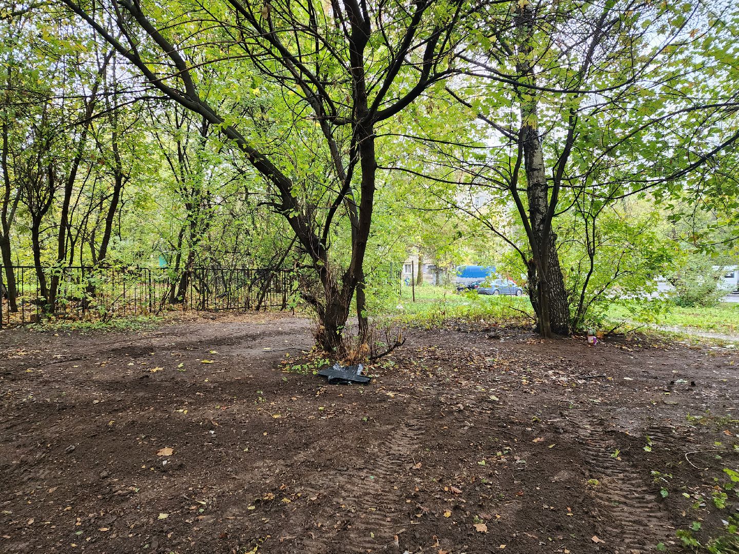 пушкино, благоустройство, листья, коммунальное хозяйство,