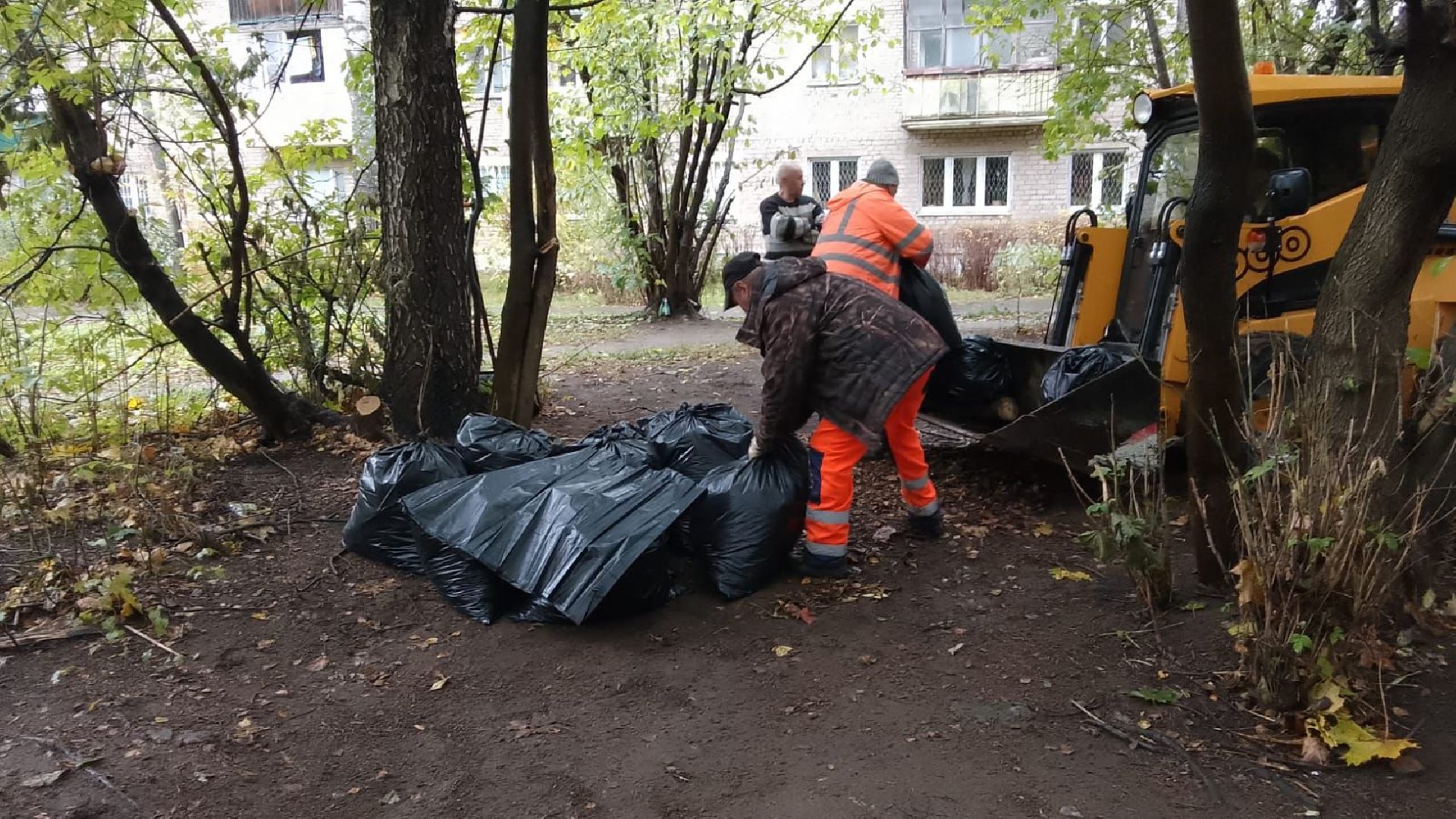 пушкино, благоустройство, листья, коммунальное хозяйство,