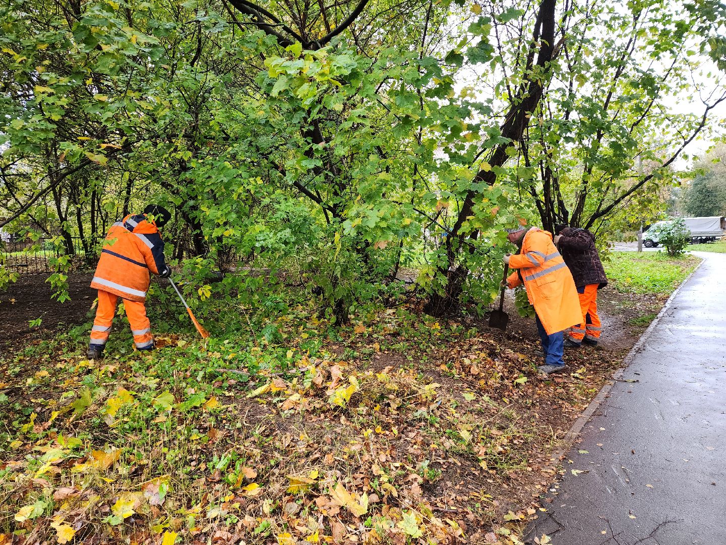 пушкино, благоустройство, листья, коммунальное хозяйство,