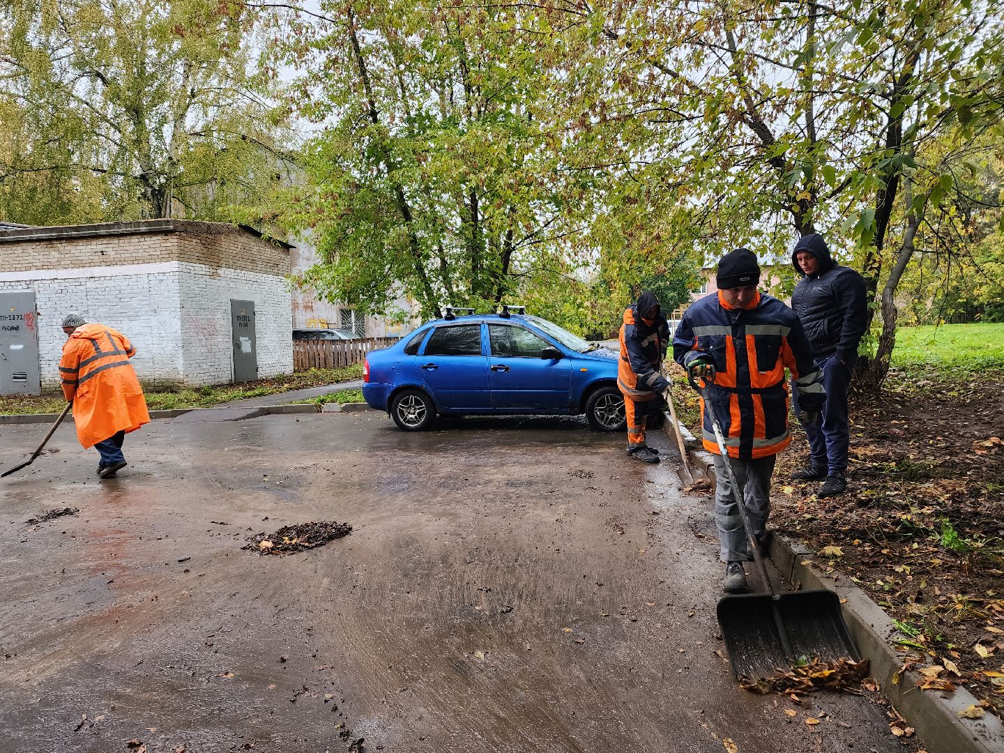 пушкино, благоустройство, листья, коммунальное хозяйство,