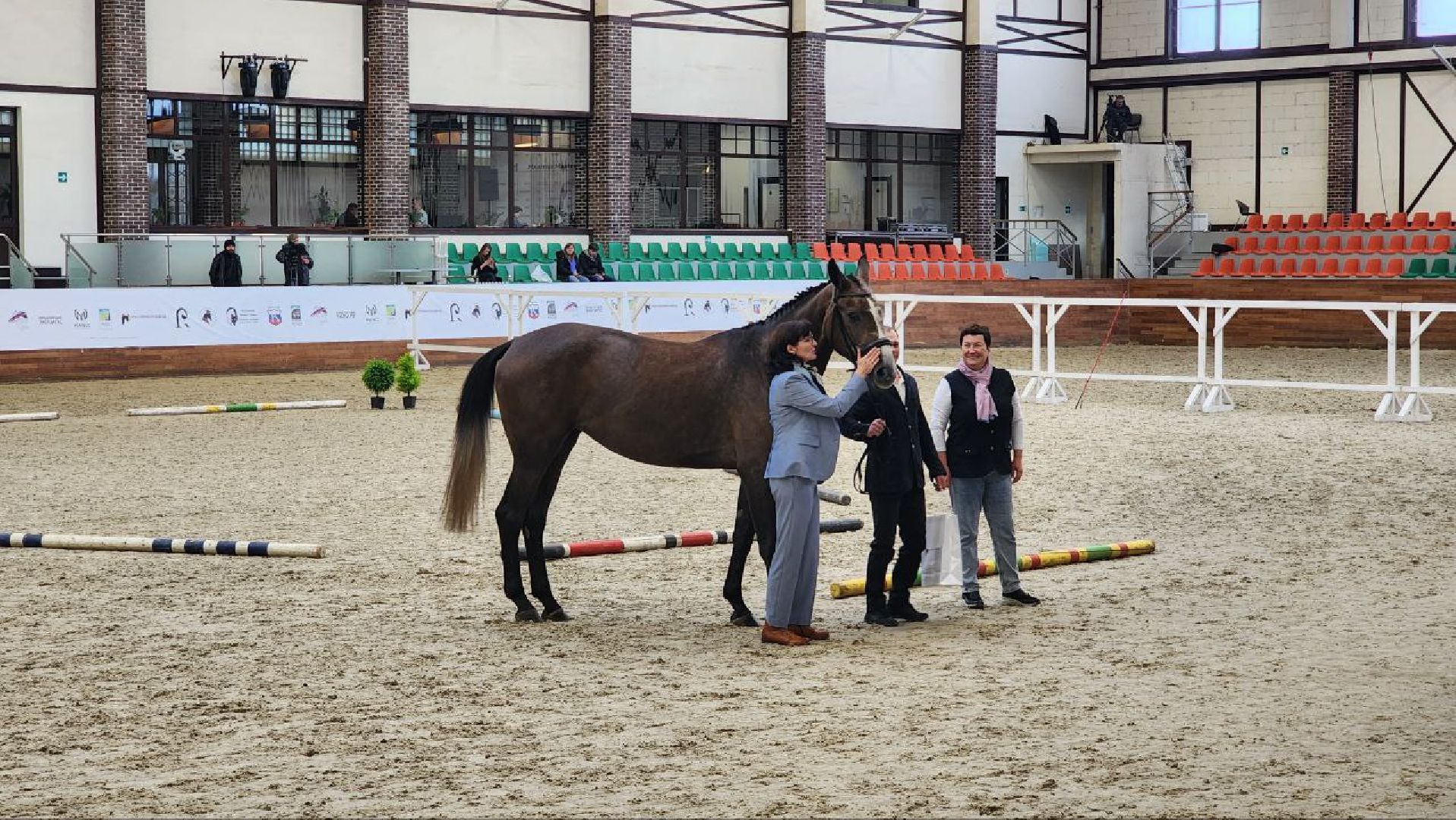 Дмитров, Максима Парк, Выставка Конная Россия,