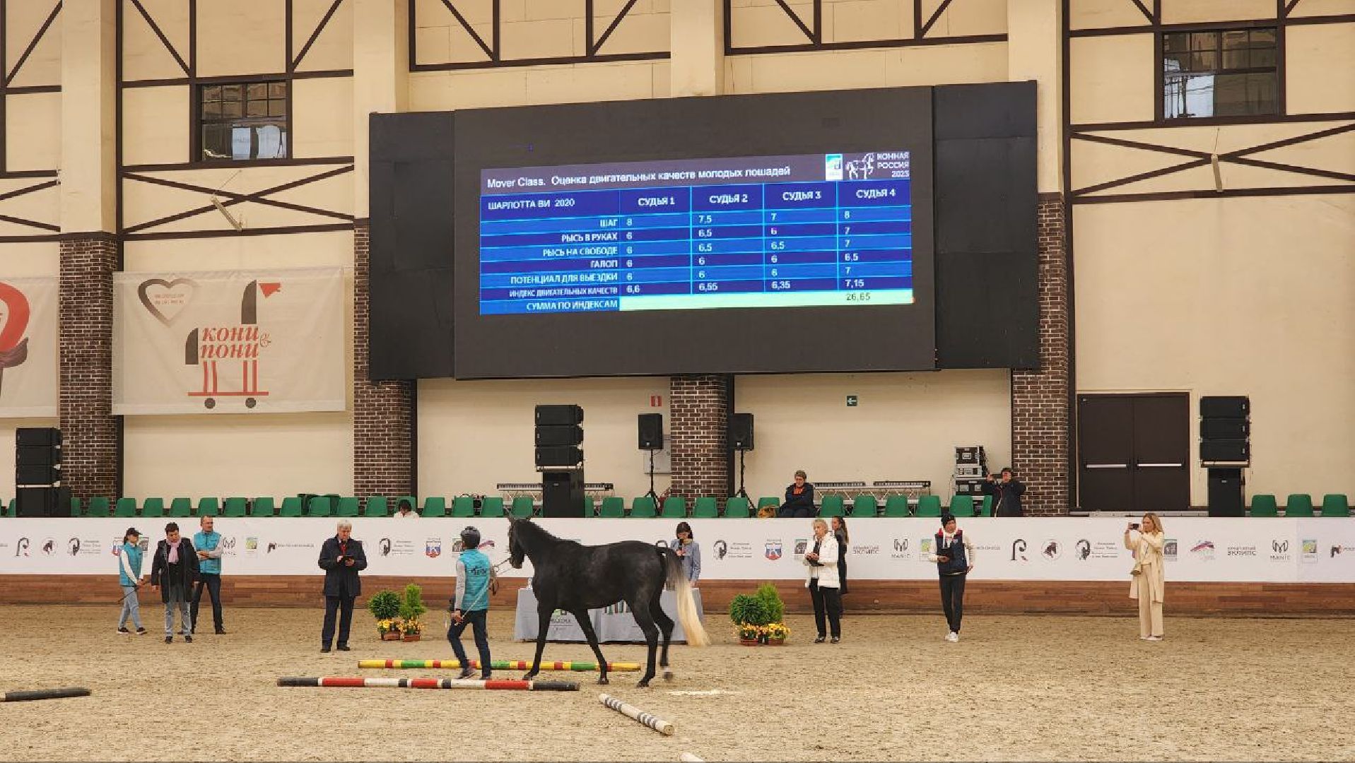 Дмитров, Максима Парк, Выставка Конная Россия,