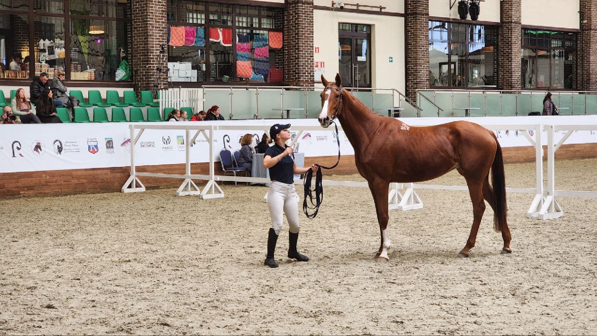 Дмитров, Максима Парк, Выставка Конная Россия,