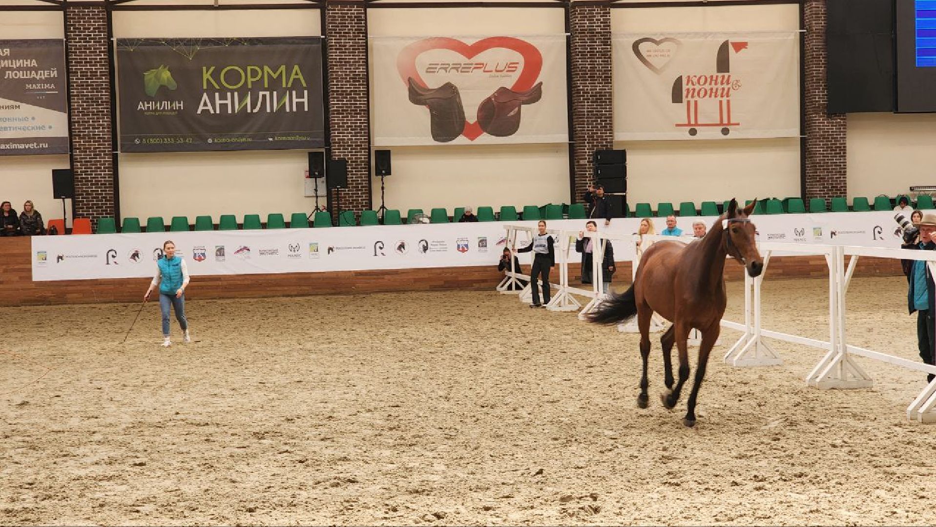 Дмитров, Максима Парк, Выставка Конная Россия,