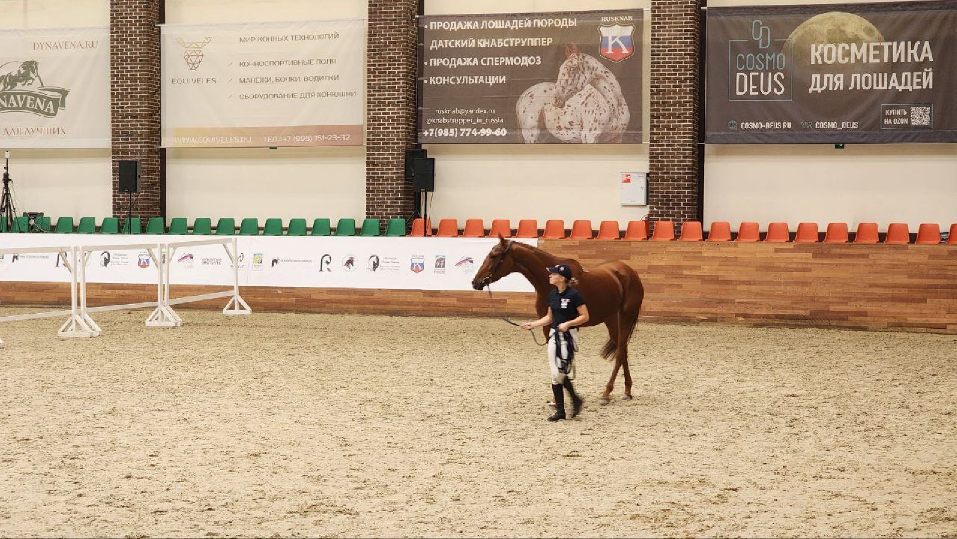 Дмитров, Максима Парк, Выставка Конная Россия,