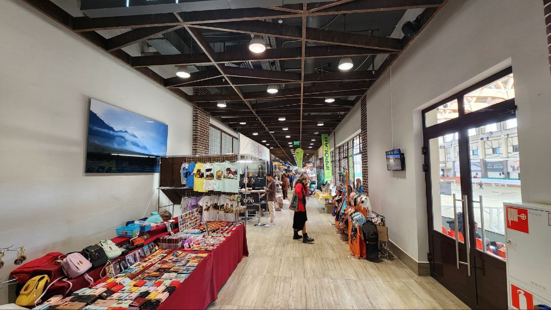 Дмитров, Максима Парк, Выставка Конная Россия,