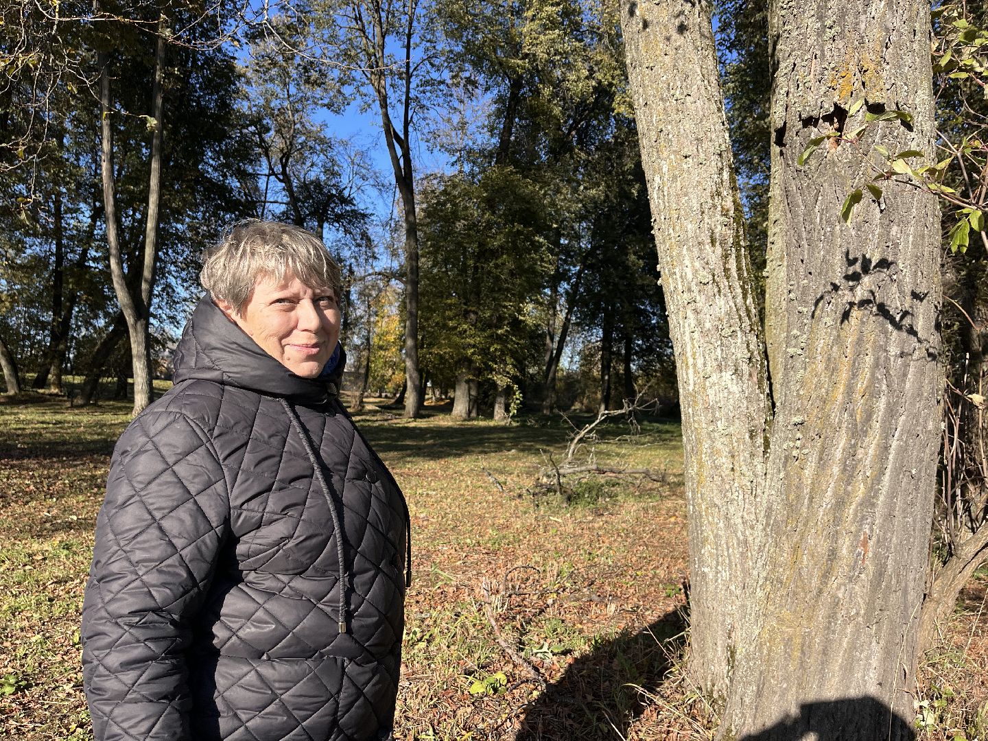 Шаховская, история, древность, краеведы,