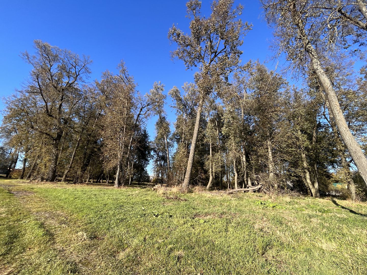 Шаховская, история, древность, краеведы,