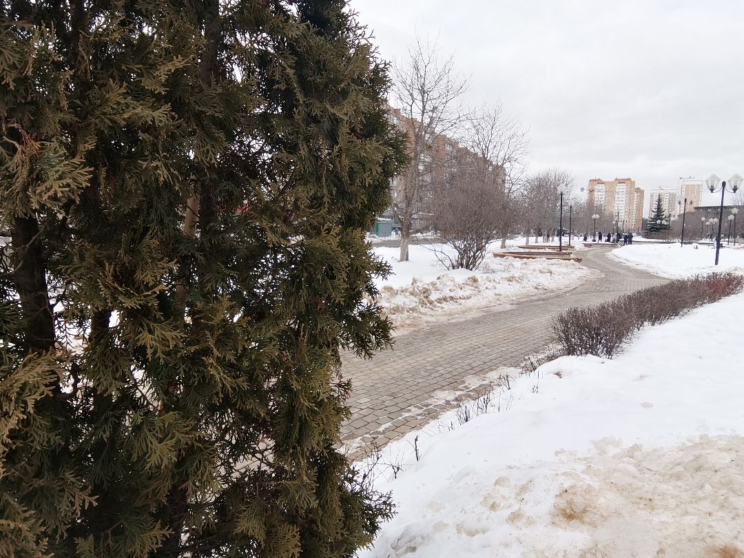 Балашиха, микрорайон Железнодорожный, Бульвар цветов, сквер Подмосковья, парк Подмосковья, Министерство по благоустройству, Михаил Хайкин, благоустройство, детские площадки,тренажёры на свежем воздухе, спортивная площадка, аллели, прогулочная зона, сухой фонтан, декоративные инсталляции