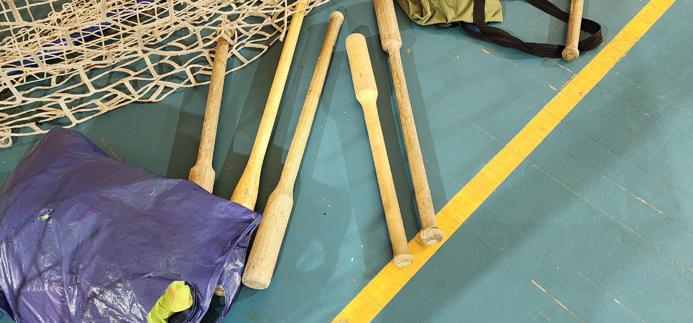 лапта, Домодедово,