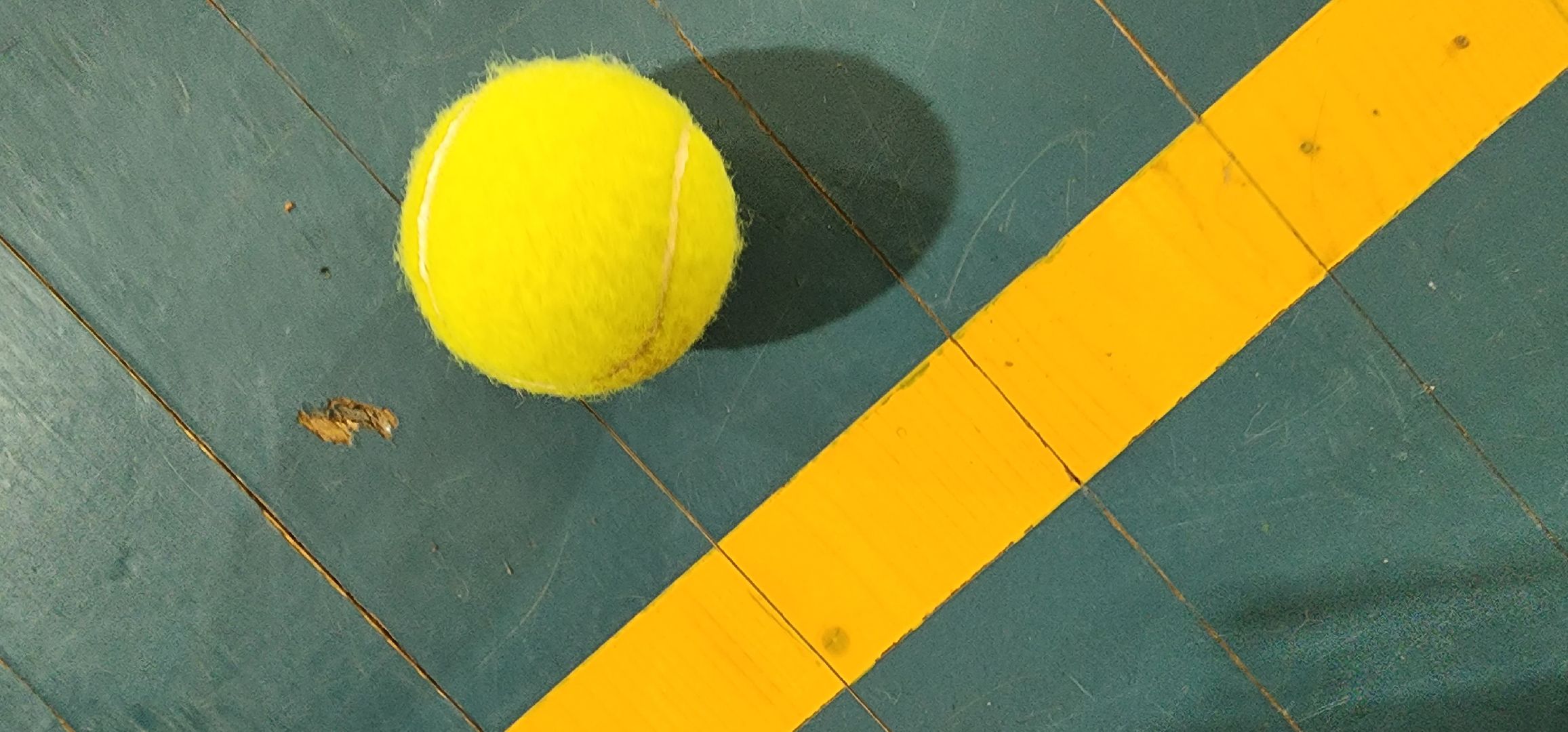 лапта, Домодедово,