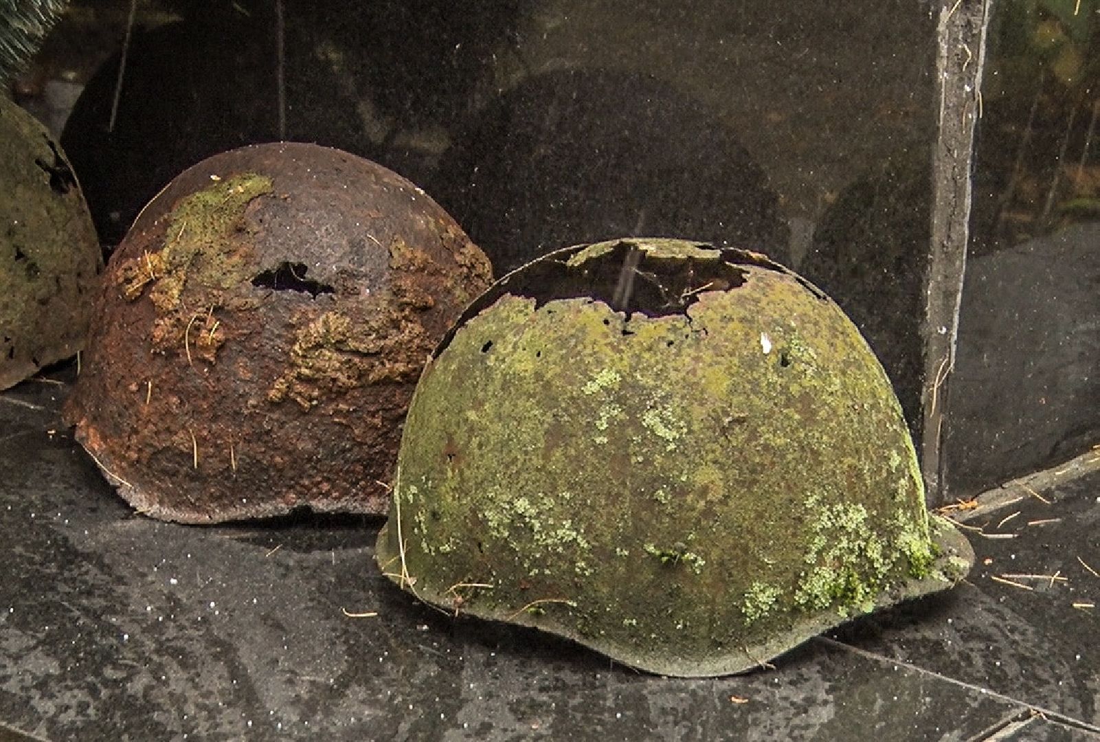 Клин, образование, память, общество, ВОВ,