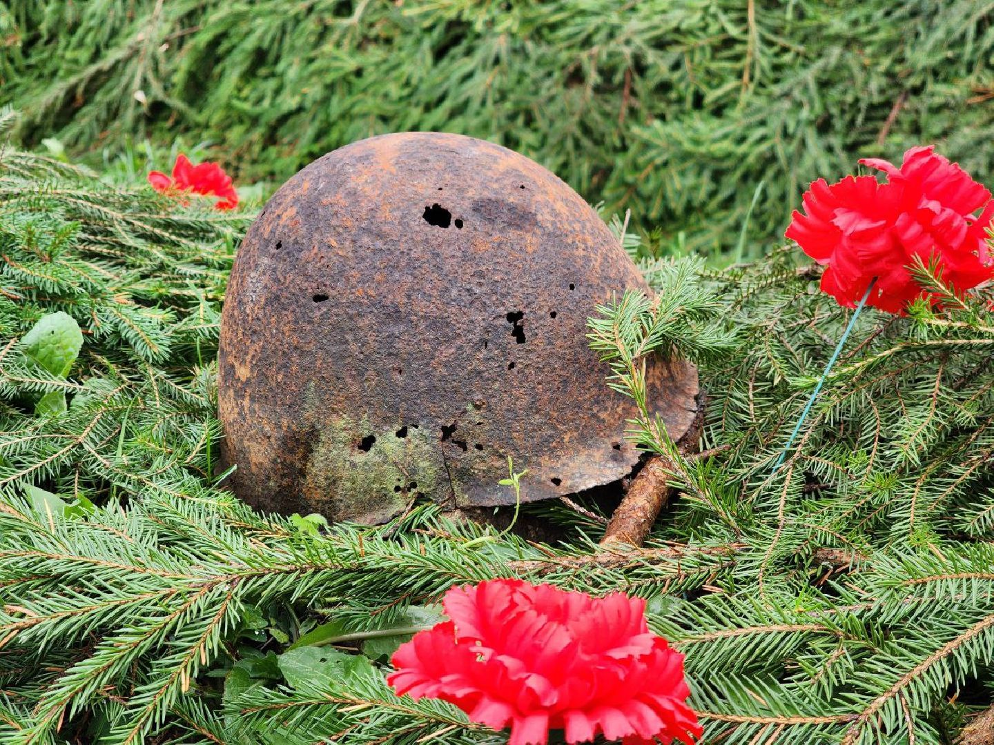 можайск, можайский городской округ, подмосковье, вахта памяти, перезахоронения, бойцы, великая отечественная война, герои, вечная память,