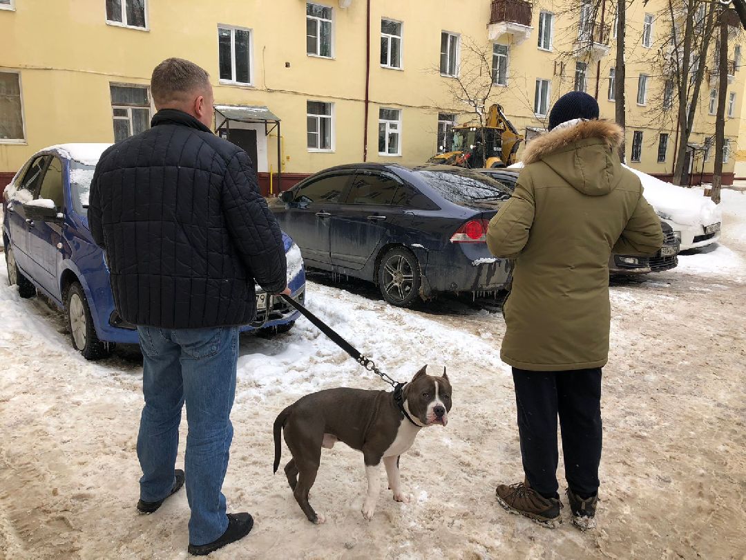 Наро-Фоминск, Наро-Фоминский городской округ, Подмосковье, ЖКХ, комунальщики, снег, уборка