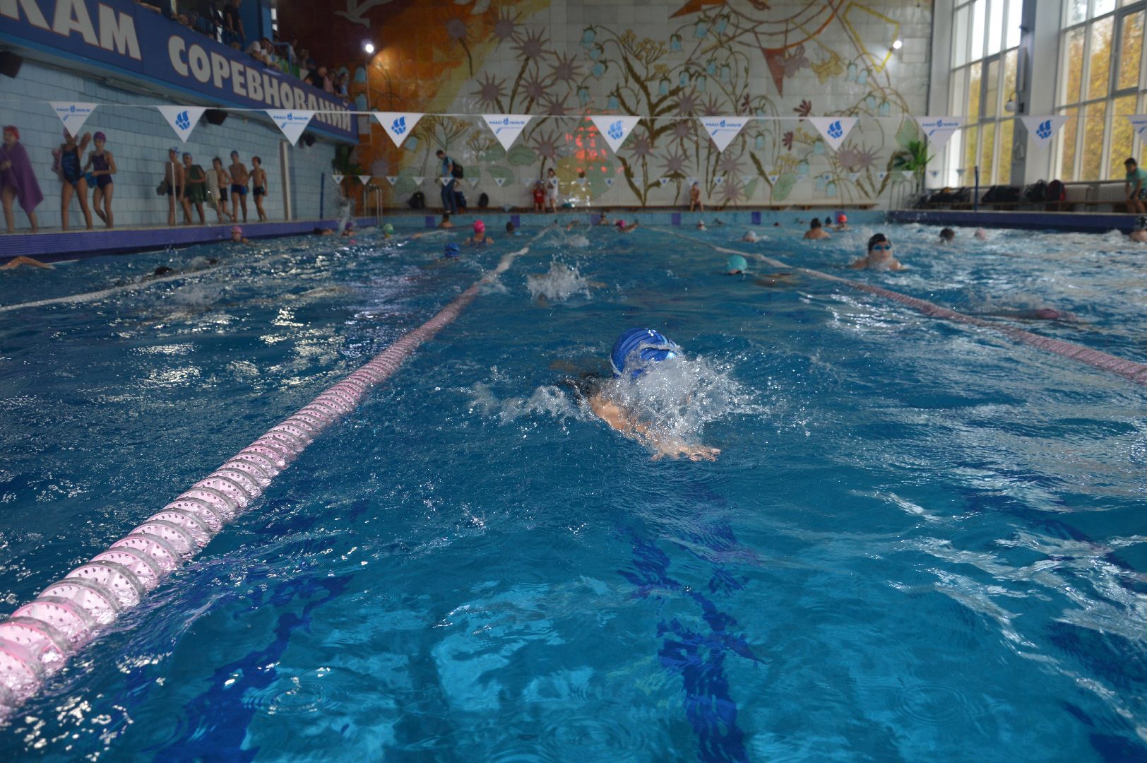 шатура, Дрезна, орехово-зуево, ликино-дулево, куровское, Владимир, турнир по плаванию, новая волна, рошаль, восточное Подмосковье,