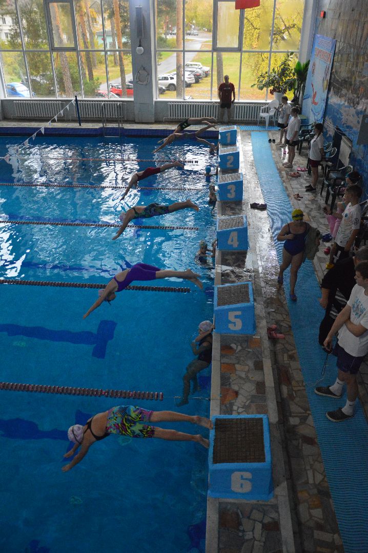 шатура, Дрезна, орехово-зуево, ликино-дулево, куровское, Владимир, турнир по плаванию, новая волна, рошаль, восточное Подмосковье,
