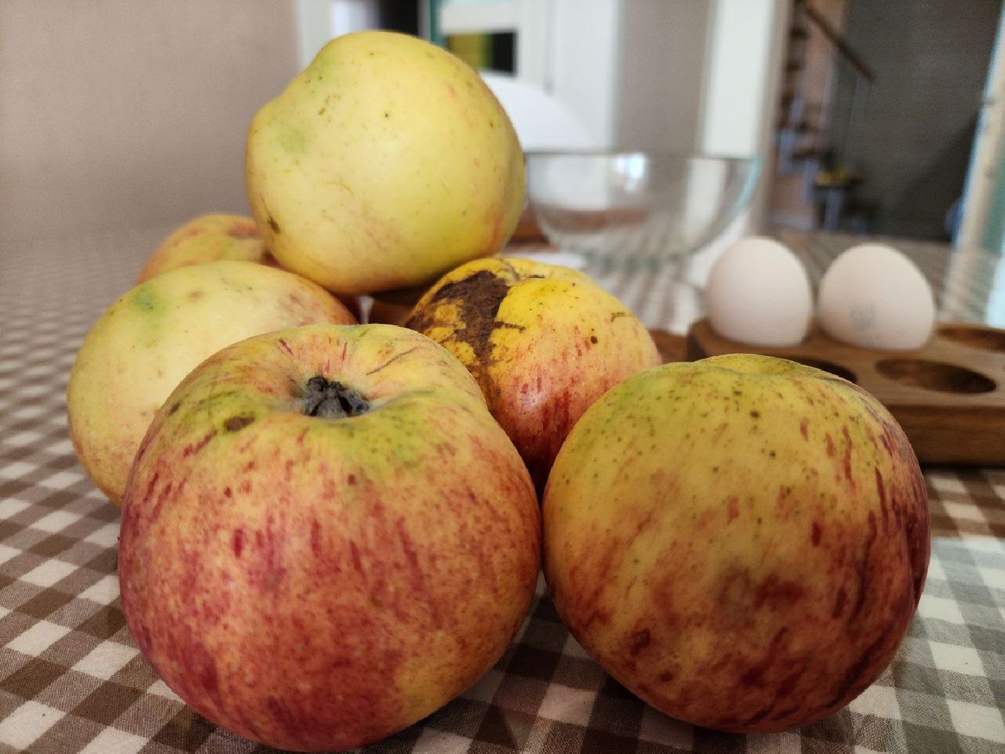 можайск, можайский городской округ, подмосковье, рецепт, пирог, яблочный пирог, идеальный пирог, многодетная семья, люди, многодетная мать, кулинария, выпечка, урожай яблок, яблоки,