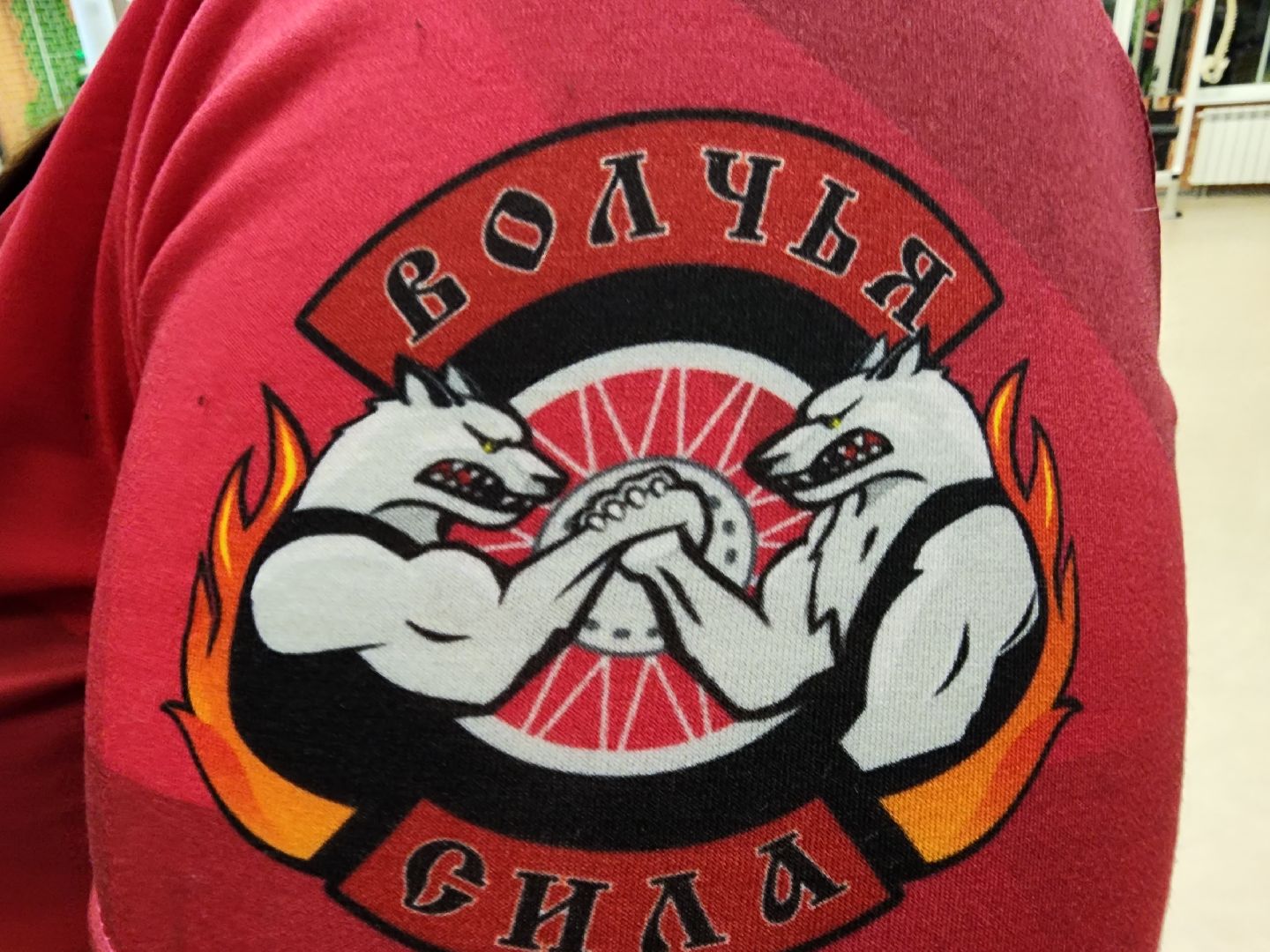 армрестлинг, спорт подмосковья, победы,