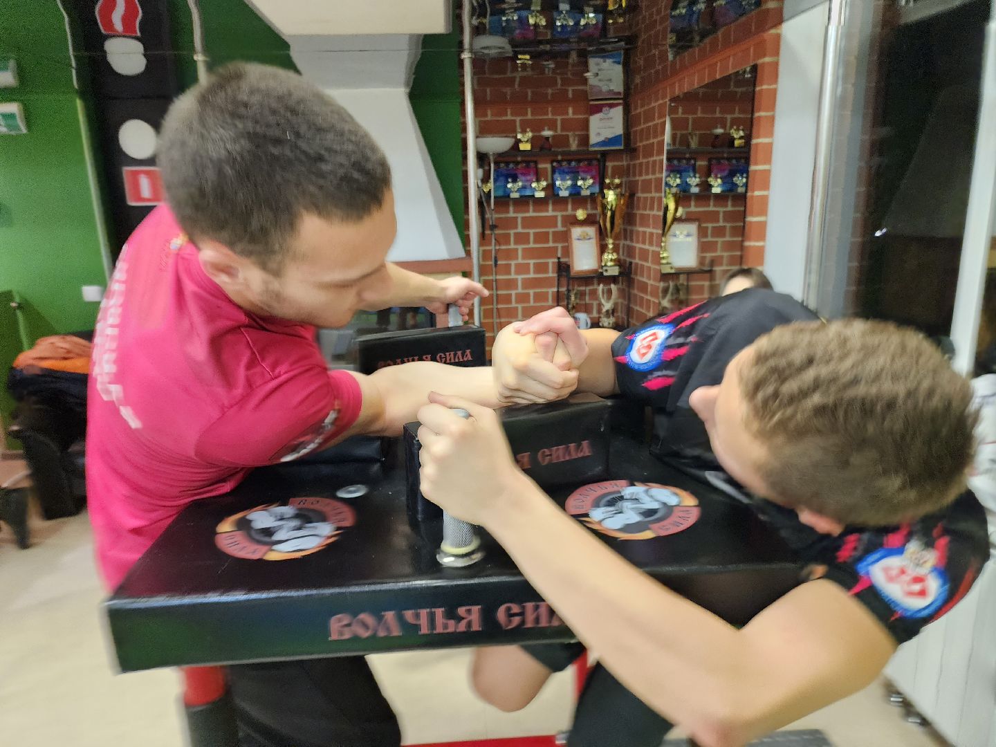 армрестлинг, спорт подмосковья, победы,