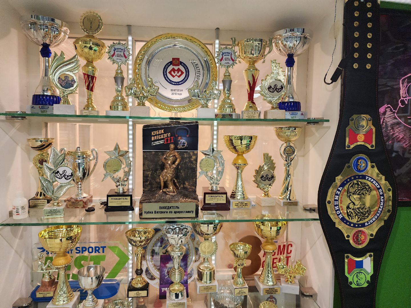 армрестлинг, спорт подмосковья, победы,