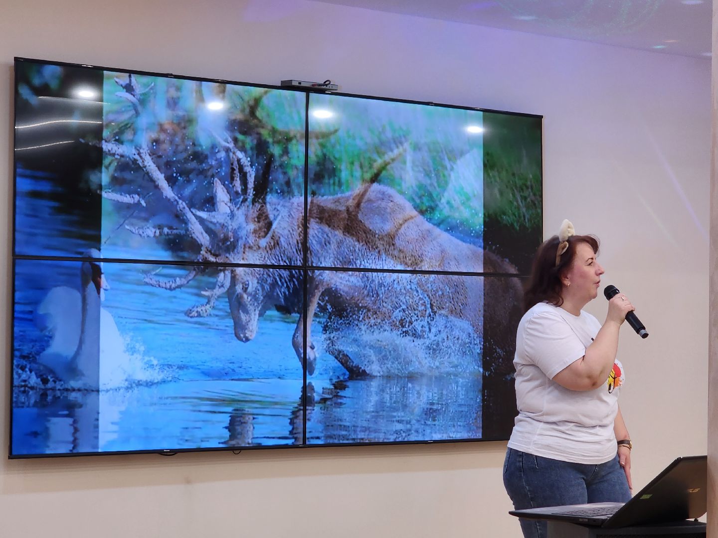 инклюзив, видное, творчество, концерт, песни,