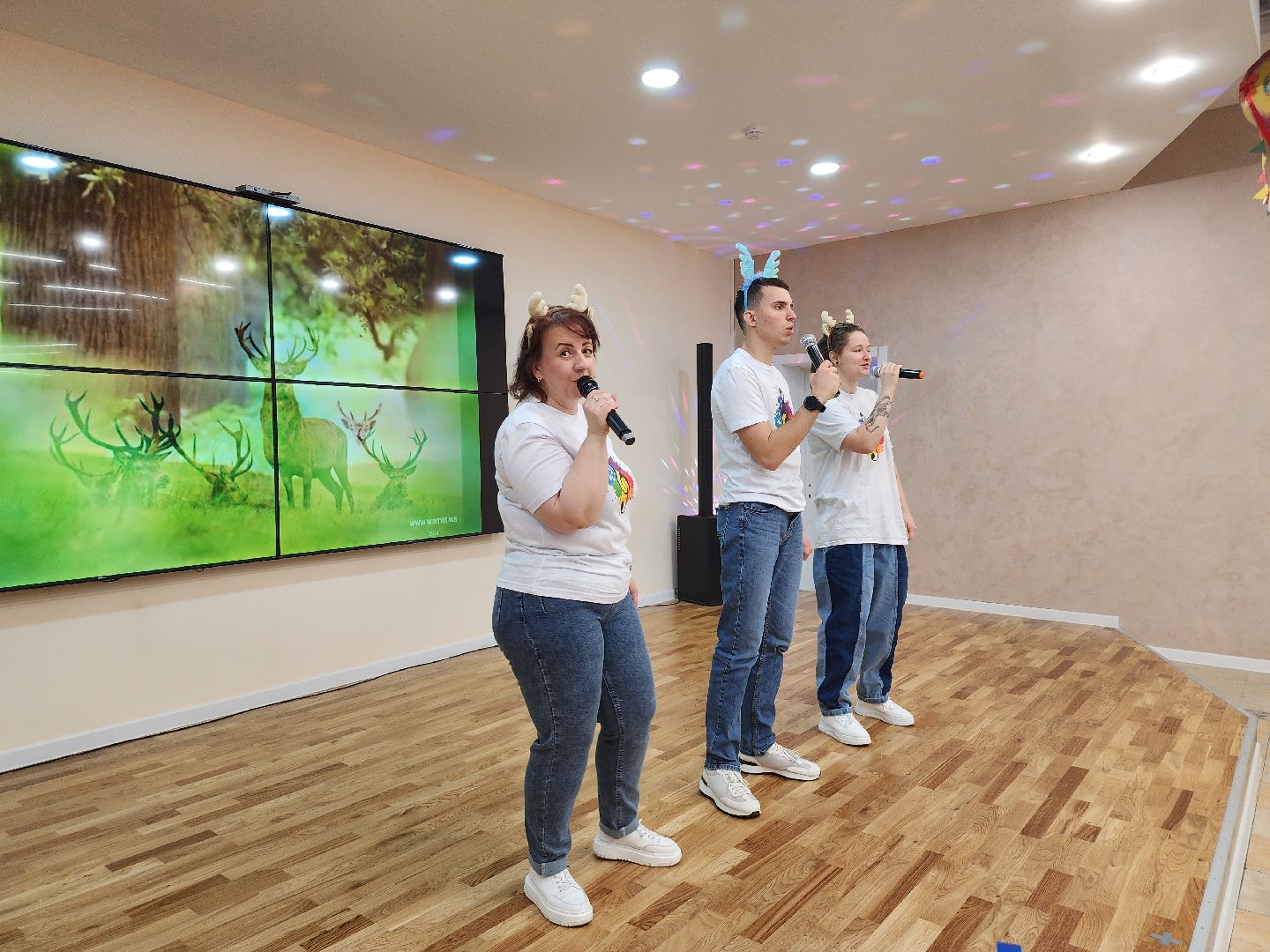 инклюзив, видное, творчество, концерт, песни,