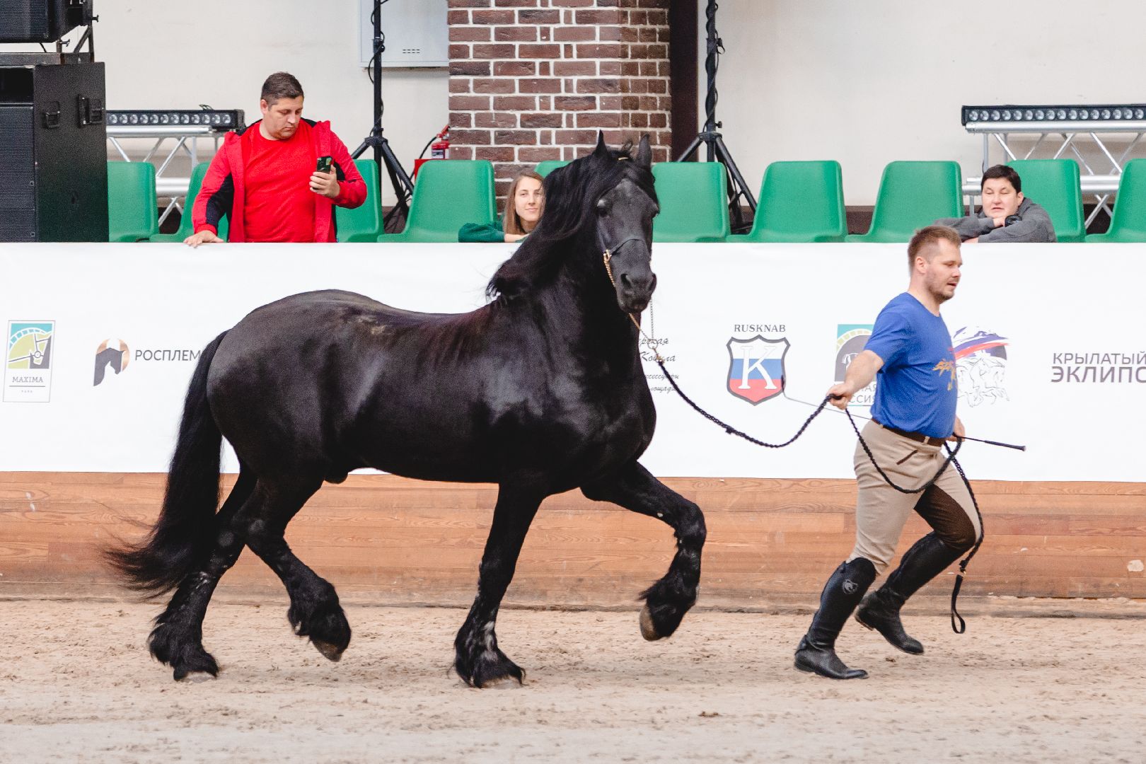Дмитров, Максима Парк, Конная Россия,