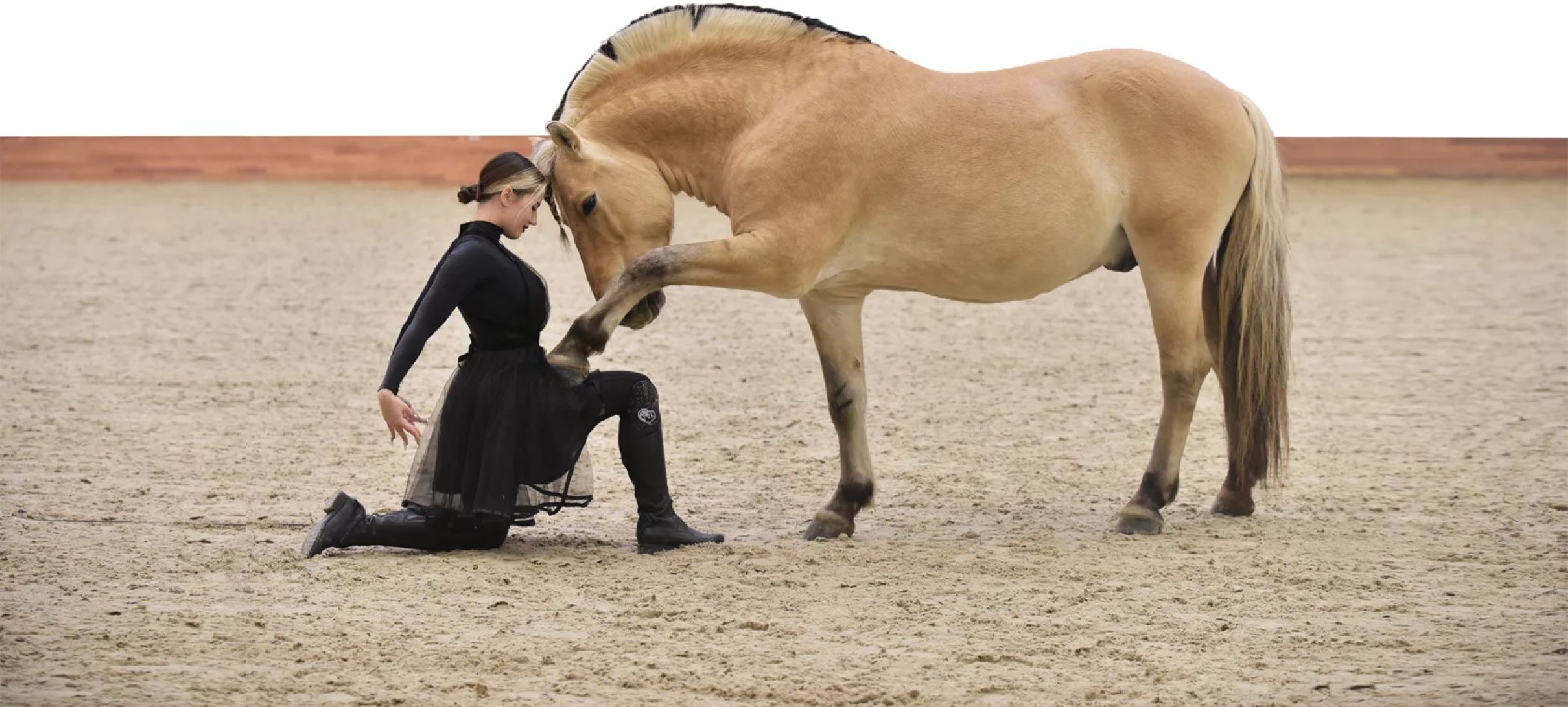 Дмитров, Максима Парк, Конная Россия,