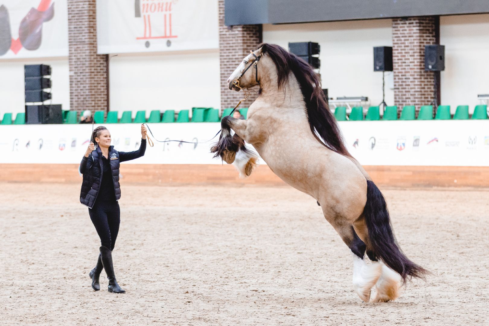 Дмитров, Максима Парк, Конная Россия,