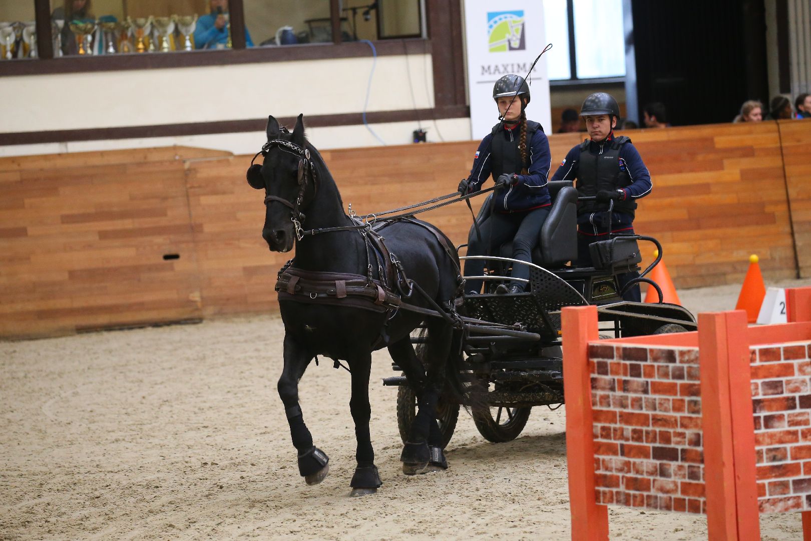 Дмитров, Максима Парк, Конная Россия,