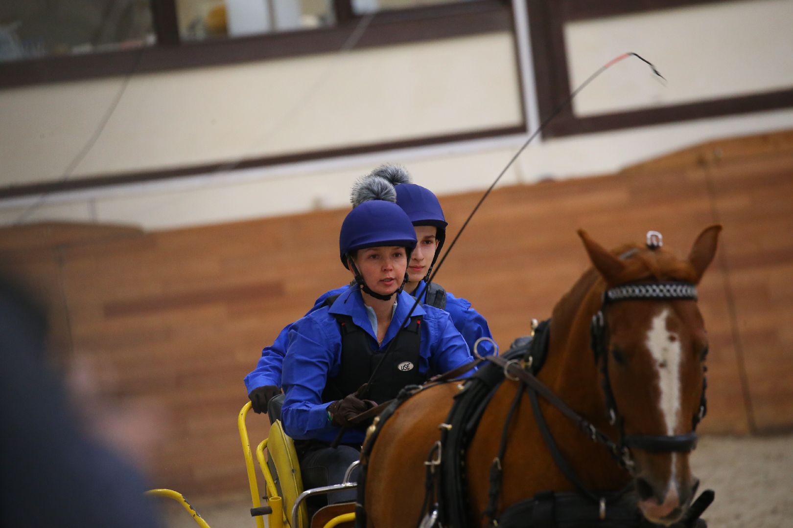 Дмитров, Максима Парк, Конная Россия,