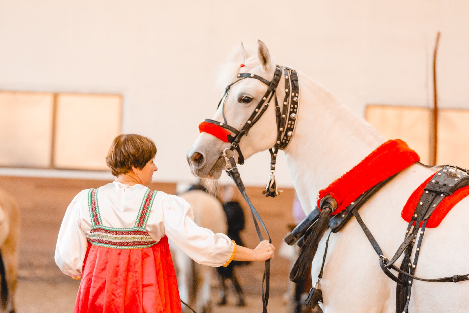 Дмитров, Максима Парк, Конная Россия,