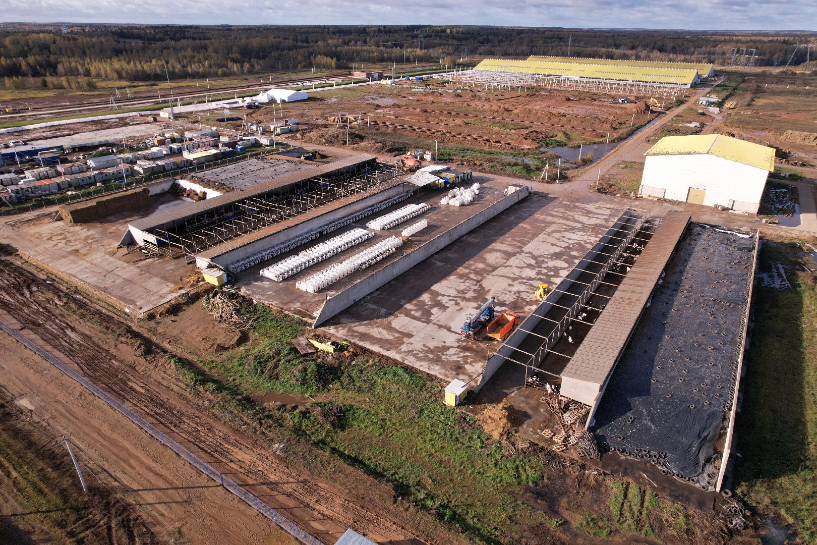 ферма, волоколамск, коровы, молоко,видео с коптера,